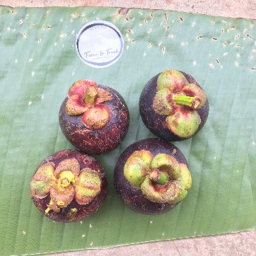 Organic Mangosteen 1kg