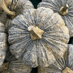 Organic Local Pumpkin (approx. 1-1.2kg)