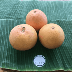 Organic Pink Grapefruit 1pcs(approx 400-450gm)(Pre-order, Ship only Wed)