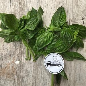 Italian Basil 100gm