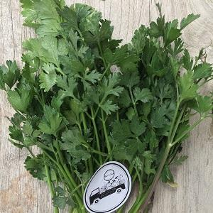 Organic Coriander 100gm