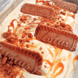 Yogurt Biscoff Gelato 350gm-CNX only