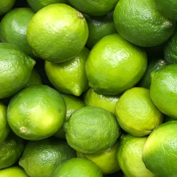 Organic Lime 1kg