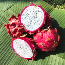 Thai White Dragon Fruit 1kg