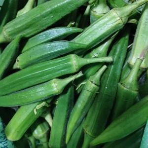 Organic Okra 500gm