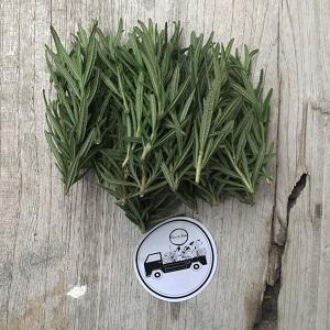 Organic Rosemary 30gm