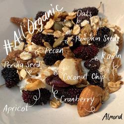 Vegan All-Star Organic Granola 125 gm