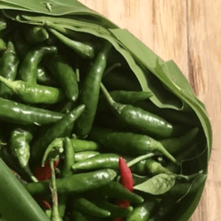 Organic Chili Spur Pepper 100gm