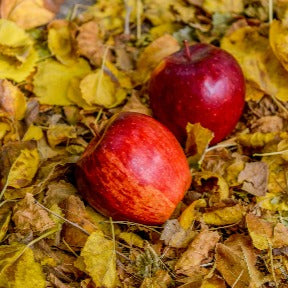 Red Apple 1kg