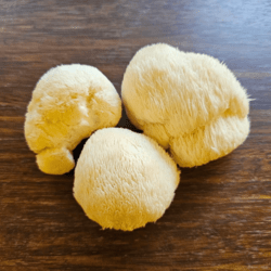 Organic Yamabushitake Mushroom 200gm (Ship Tue & Fri Only)