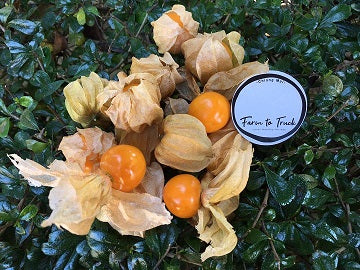 Cape Gooseberry 300gm