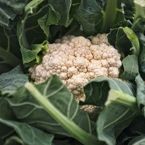 Organic Cauliflower 1 piece (approx. 500gm)