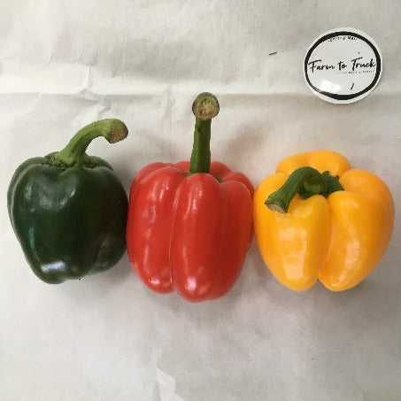 Organic Mixed-Color Pepper 600gm (up to seasonal change)