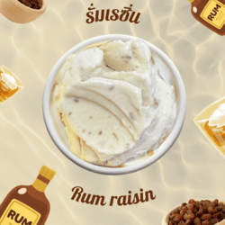Rum Raisin Gelato 350gm-CNX only