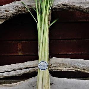 Lemon Grass  1bunch