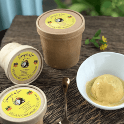 Vegan Organic Mango Coconut Ice-cream 90gm-CNX only