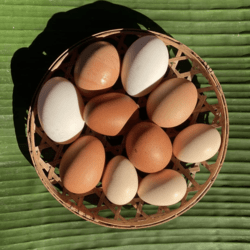 Seasonal Mixed Free-Range Egg 10pcs