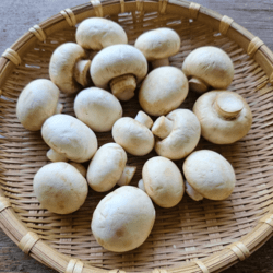 Organic Champignon 200gm (Ship Tue & Fri Only)