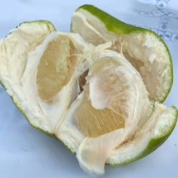 Organic White Pomelo 1pcs(approx. 1kg)