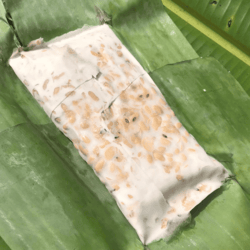 Organic Tempeh in Banana Leaf 150gm