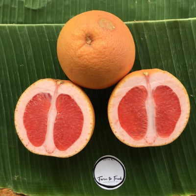 Organic Pink Grapefruit 1Kg(Pre-order, Ship only Wed)