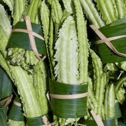 Organic Winged Bean 1bunch