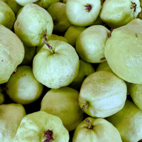 Organic Guava 1kg | FARMTOTRUCKTHAILAND.