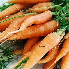 Organic Baby Carrot 500 gm