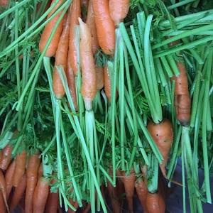 Organic Baby Carrot 500 gm