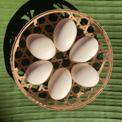 Free-Range Duck Egg 6pcs