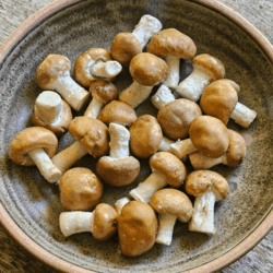 Organic Shiitake Mushroom 100gm (Ship Tue & Fri Only)