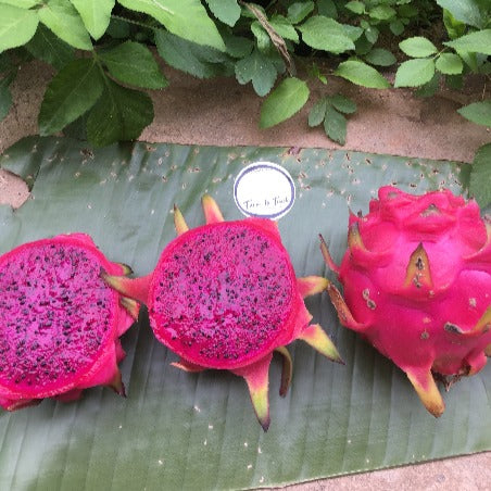 Thai Red Dragon Fruit 1kg