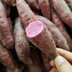 Organic Purple Sweet Potato 500gm