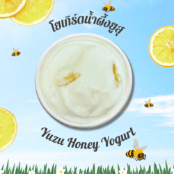 Yuzu Honey Yogurt Gelato 80gm-CNX only