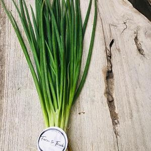 Organic Spring Onion  100gm