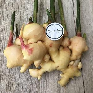 Organic Ginger 500gm