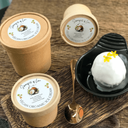 Vegan Organic Coconut Ice-cream 90gm-CNX only