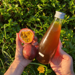 Organic Passion Fruit Vinegar 300ml