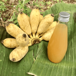 Organic Banana Vinegar 300ml